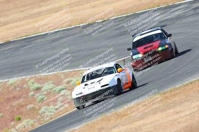 media/May-06-2023-Lucky Dog Racing (Sat) [[8f2256f436]]/Turn 2 10a/